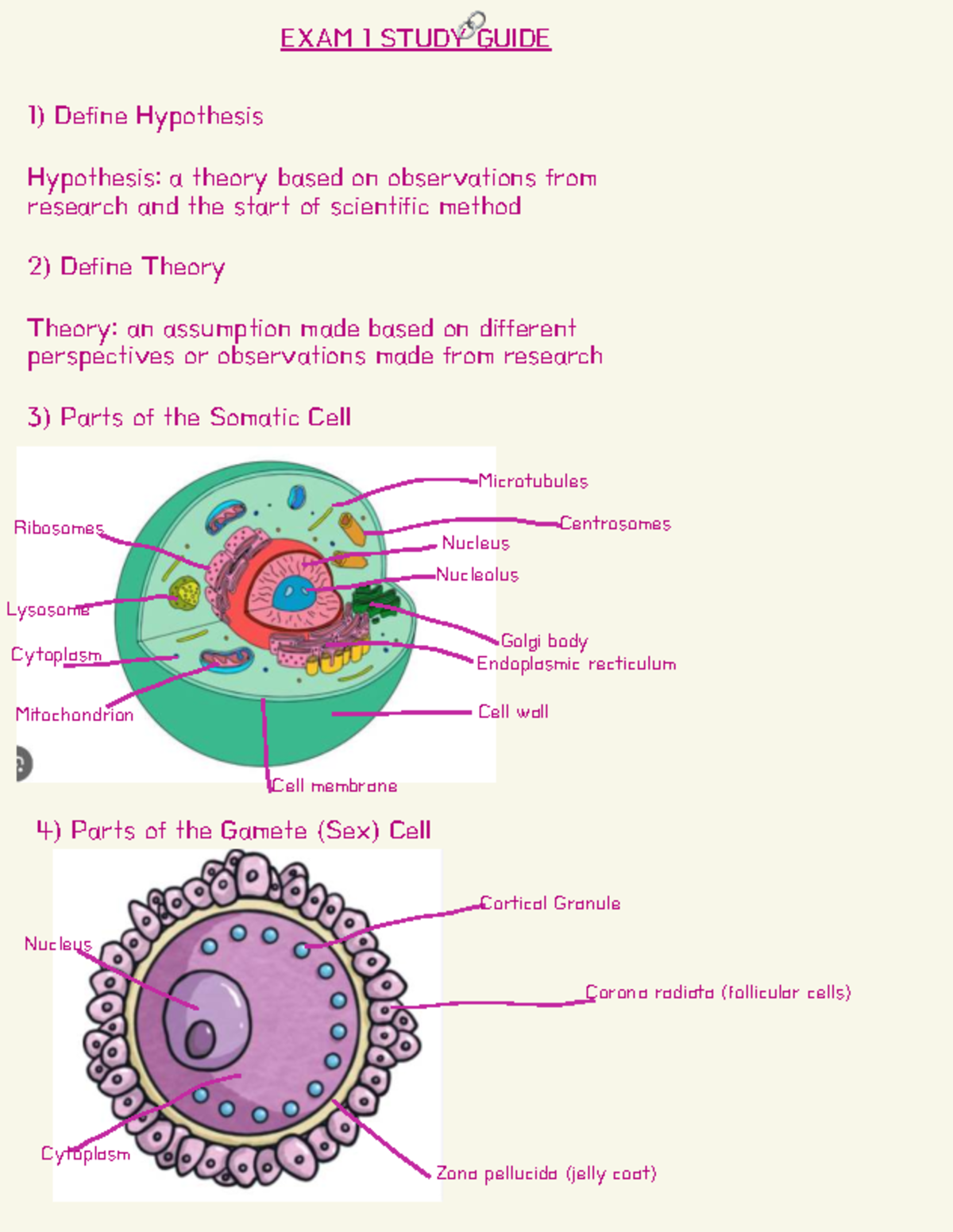 Final Exam Study Guide for BIO 101: Intro to Evolutionary Biology - Studocu