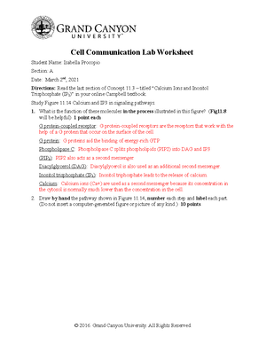 Cell Division Worksheet - Name: Instructor & Section: Cell Division ...