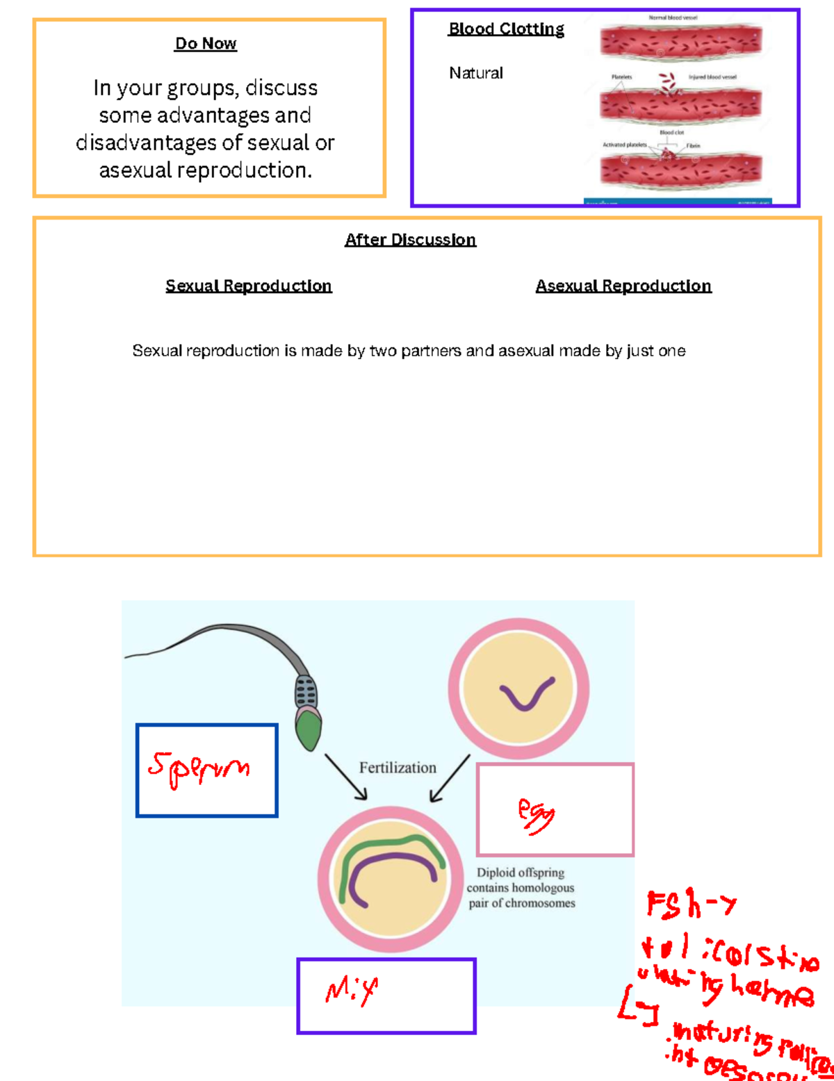Reproductive+System+Lesson+1 - CHEM 302 - Do Now In your groups ...