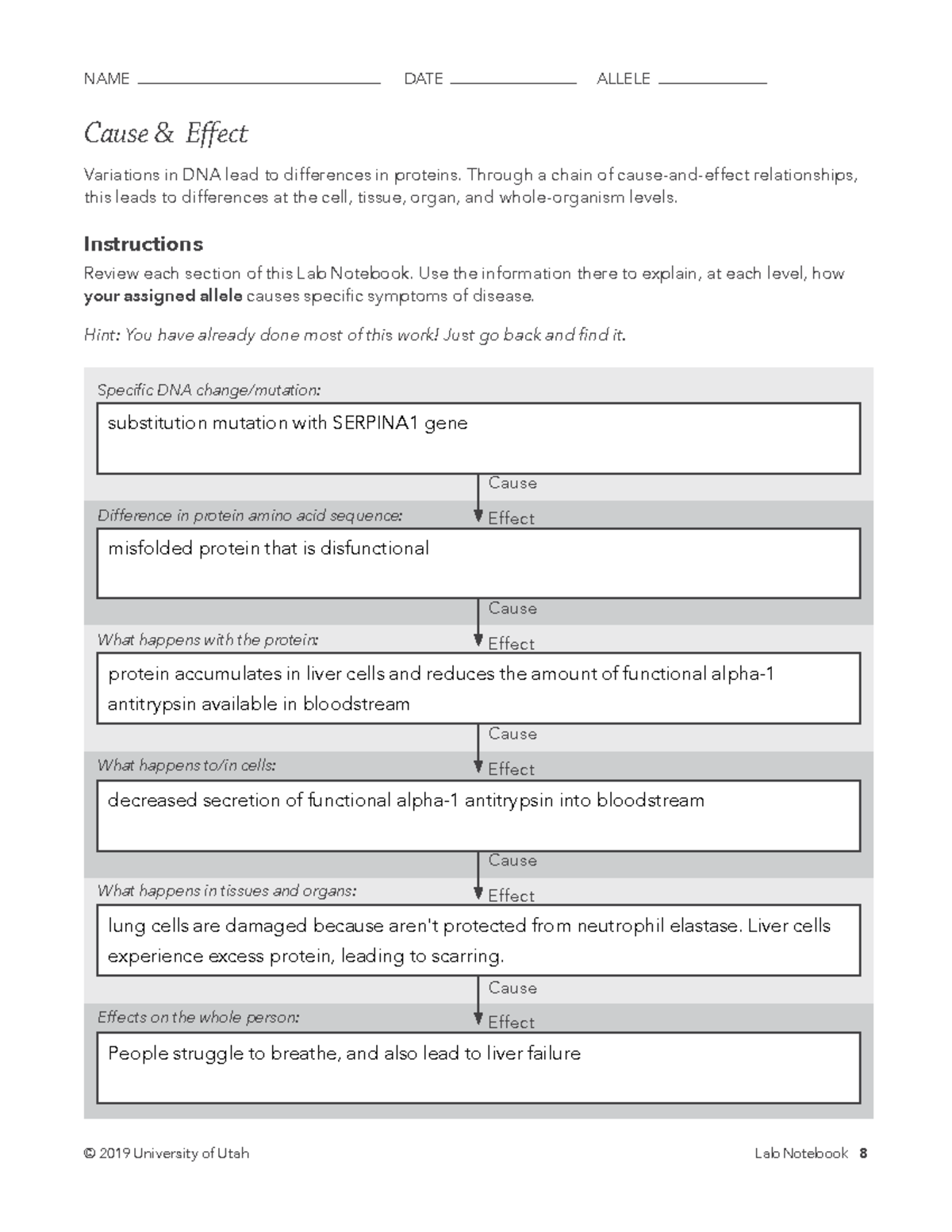 BIO 101 Lab 3 Worksheet: DNA Variations and Disease Effects - Studocu