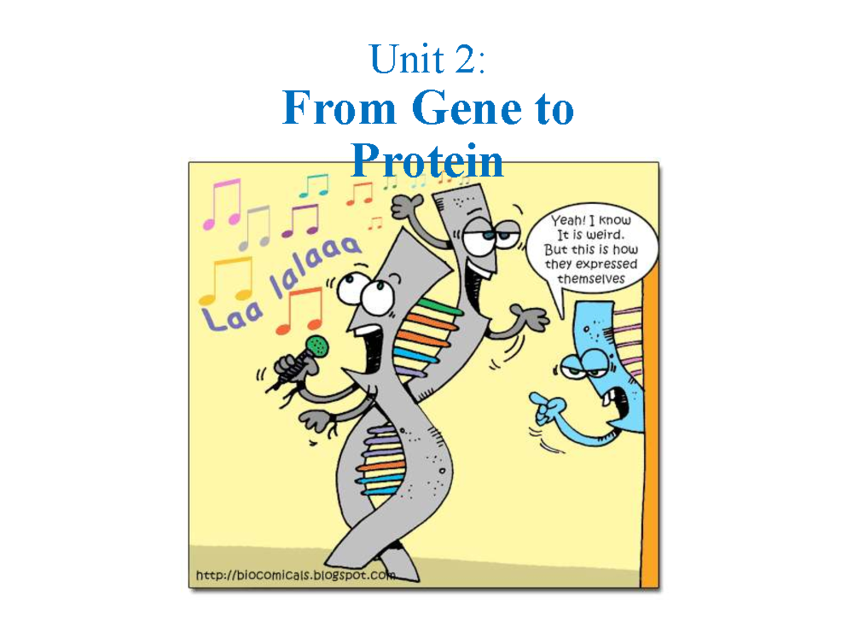 Unit 2: Gene Expression & Alternative Splicing Overview - Studocu