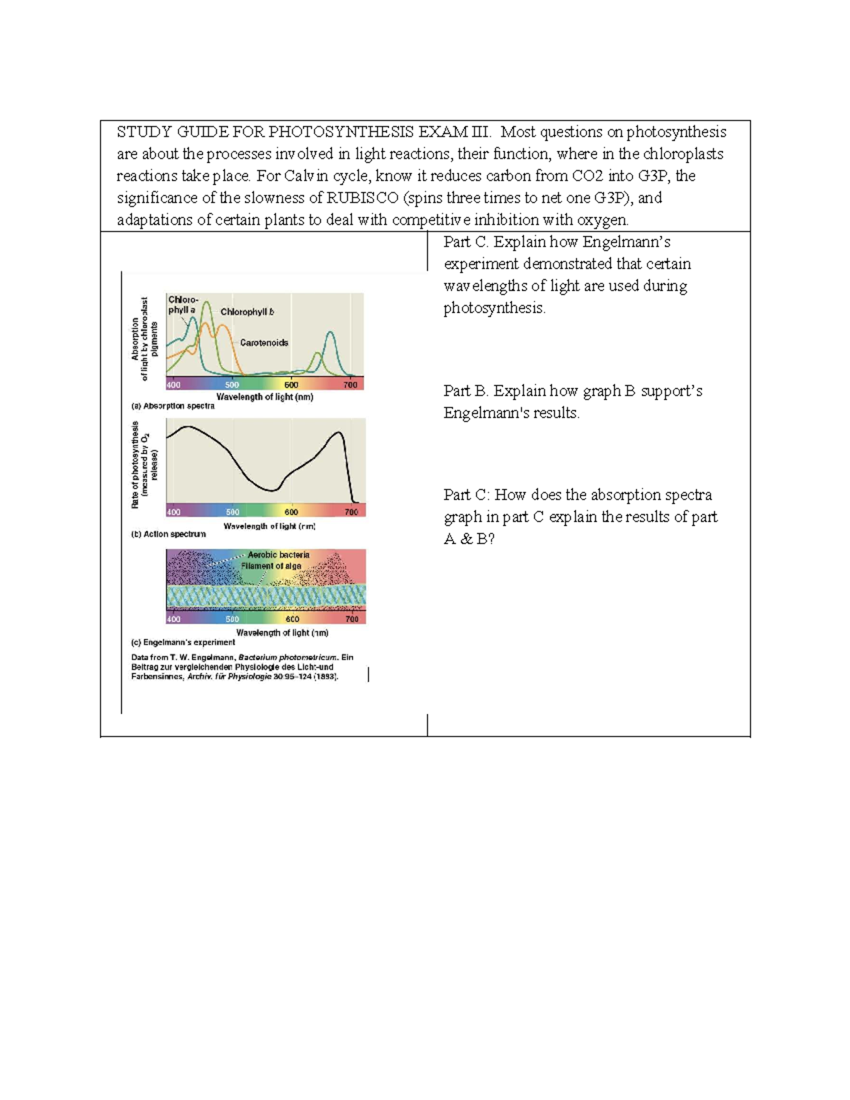 Study Guide for Photosynthesis Exam III: Key Concepts and Processes ...