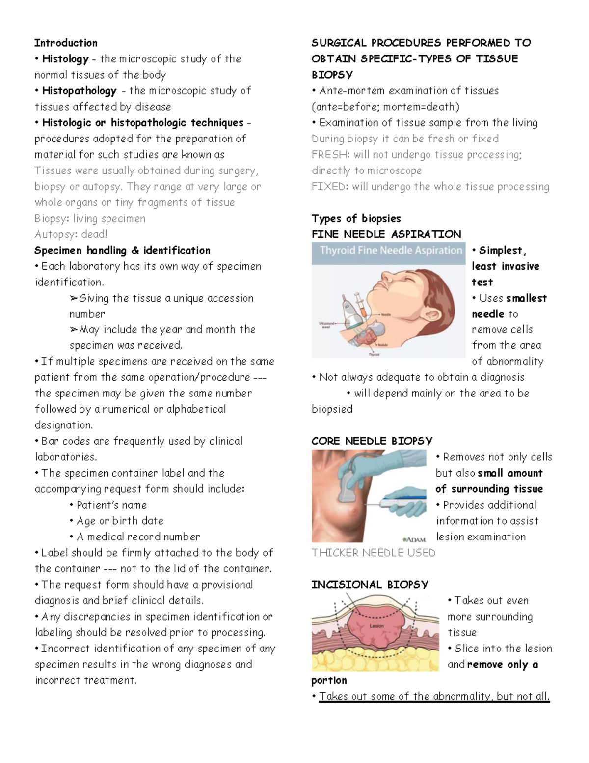 Introduction to Surgical Procedures and Histology Techniques (SURG 101 ...