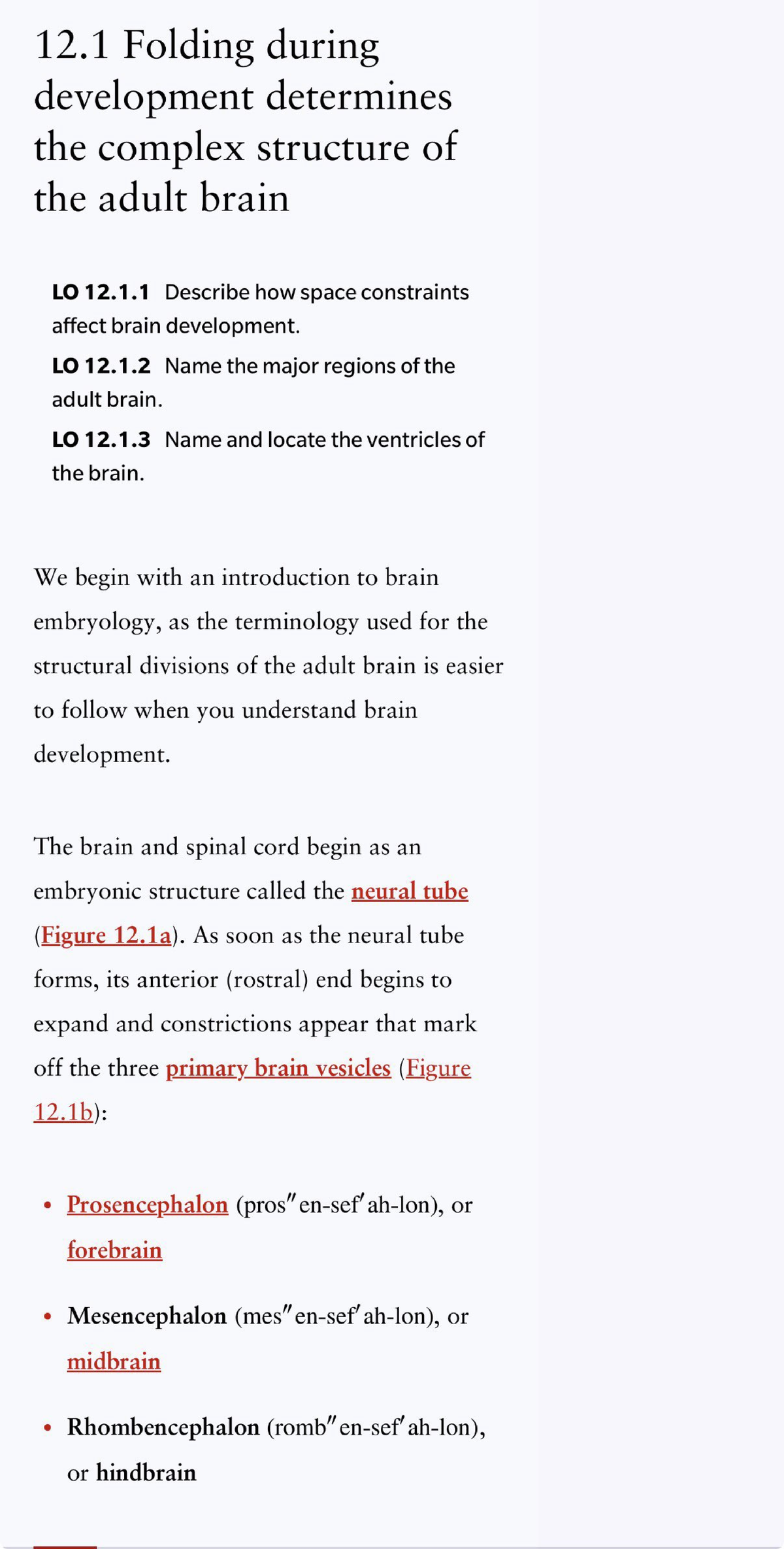 Chapter 12: Brain Development and Structure - Studocu