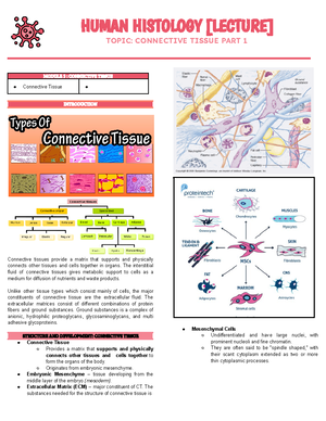 BSMT Human Histology Chapter 3 - HUMAN HISTOLOGY [LECTURE] TOPIC ...