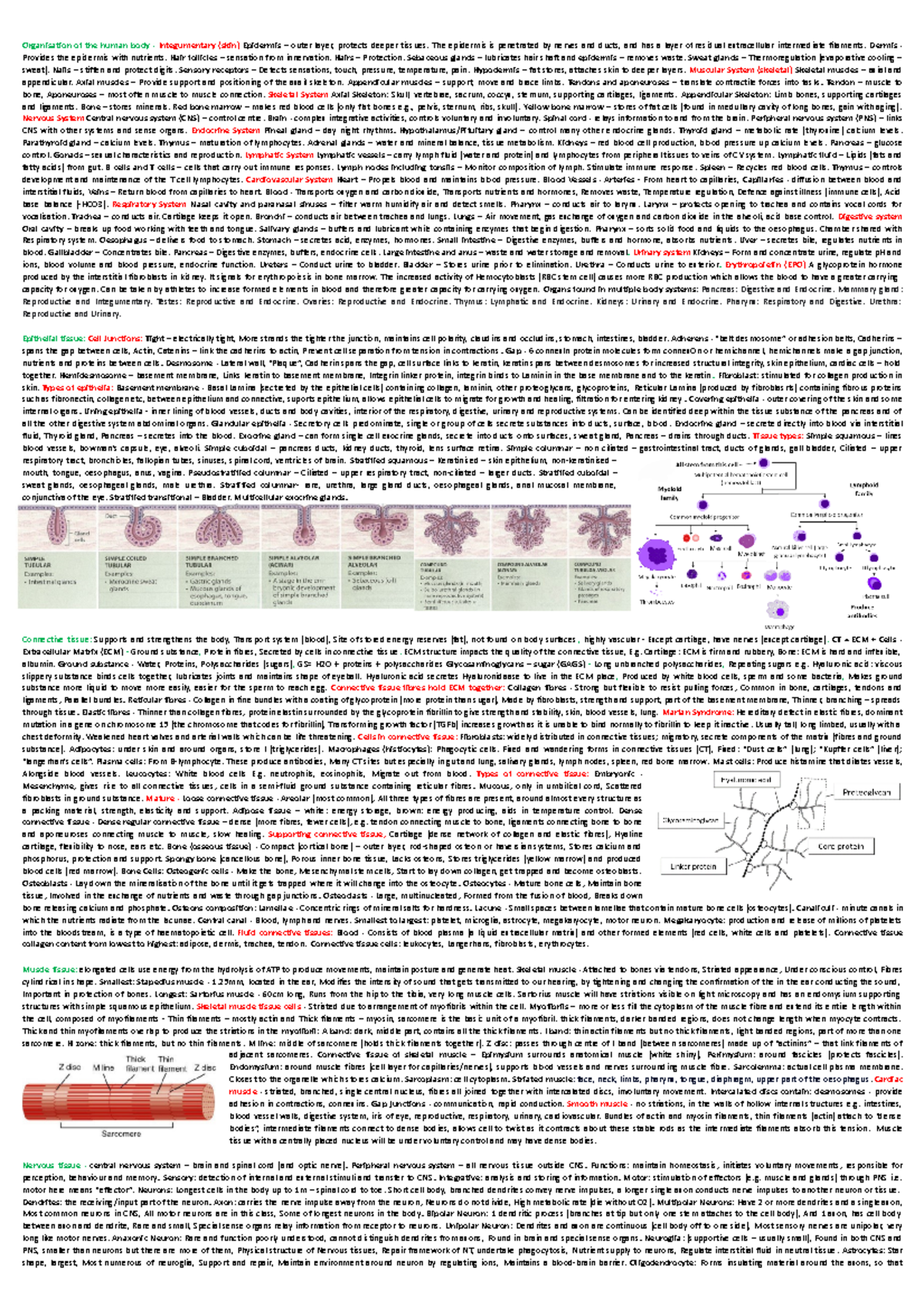 Biosci 107 Midsem Body Systems Overview and Highlights - Studocu