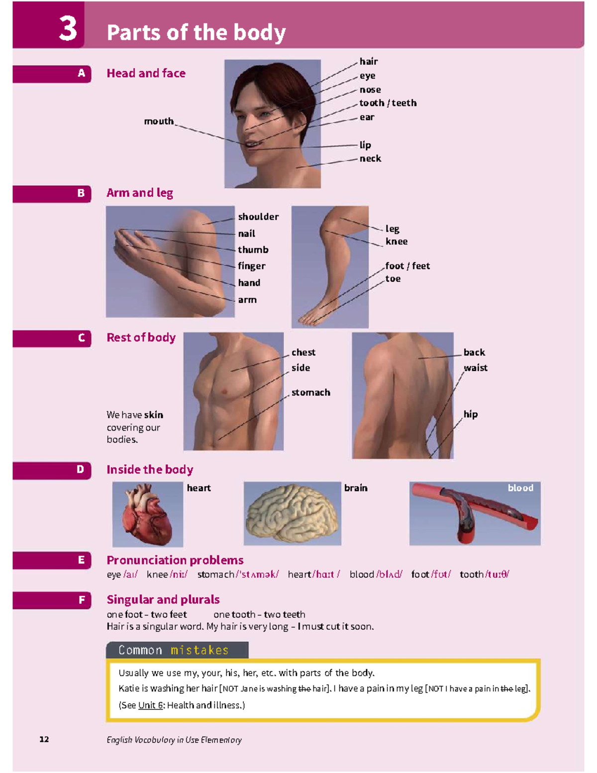 Lesson 21 - Parts of the Body and Common Vocabulary Mistakes - Studocu
