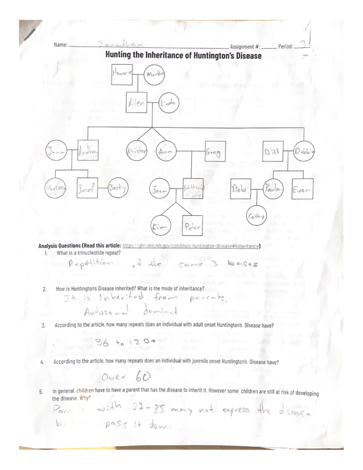 Hunting for Huntingtons: Assignment Guide and Overview - Studocu