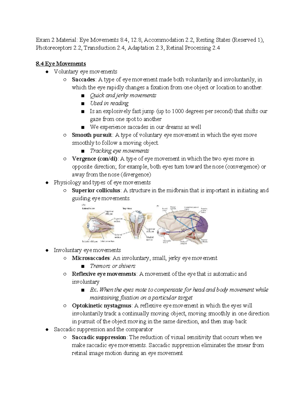 Exam 2 Study Guide: Eye Movements, Photoreceptors, and Adaptation - Studocu