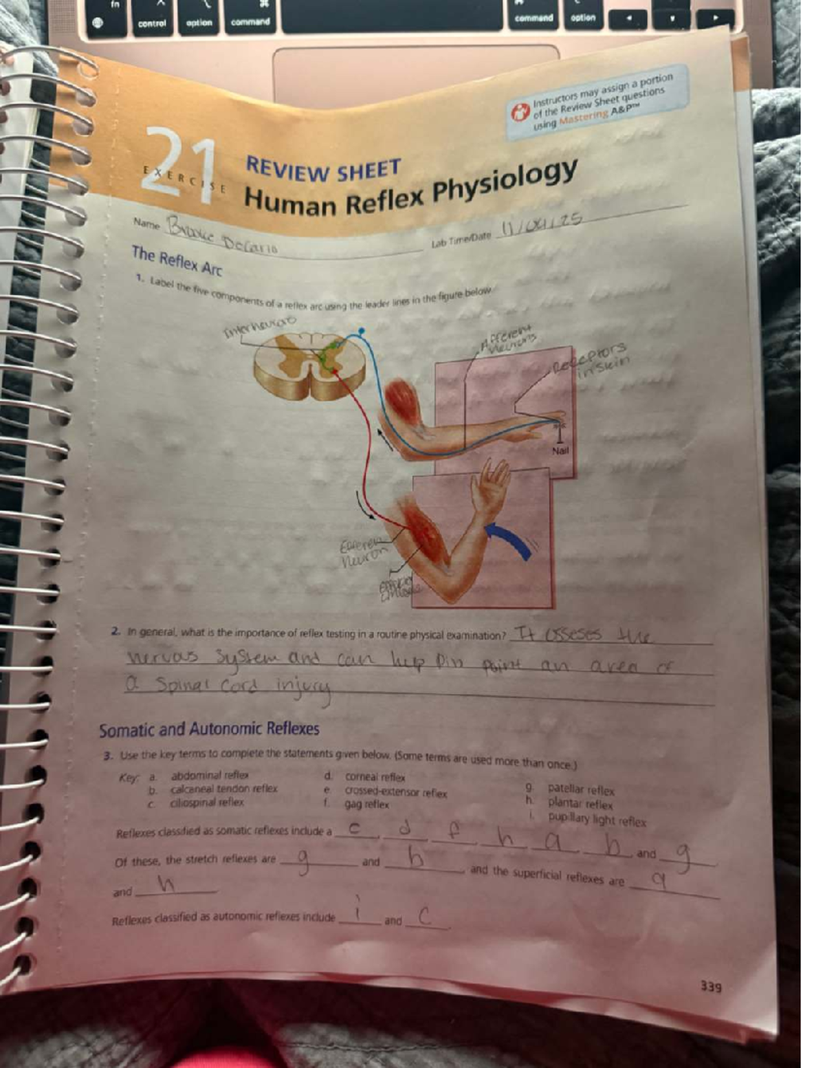 Exercise 21 Review Sheet: Human Reflex Physiology Lab - Studocu