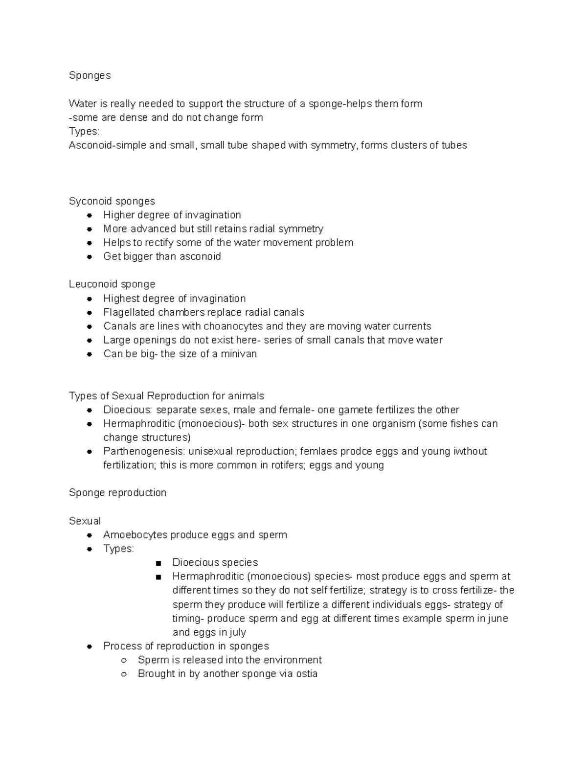 Ch 12 Sponges - Comprehensive Study Notes on Porifera - Studocu