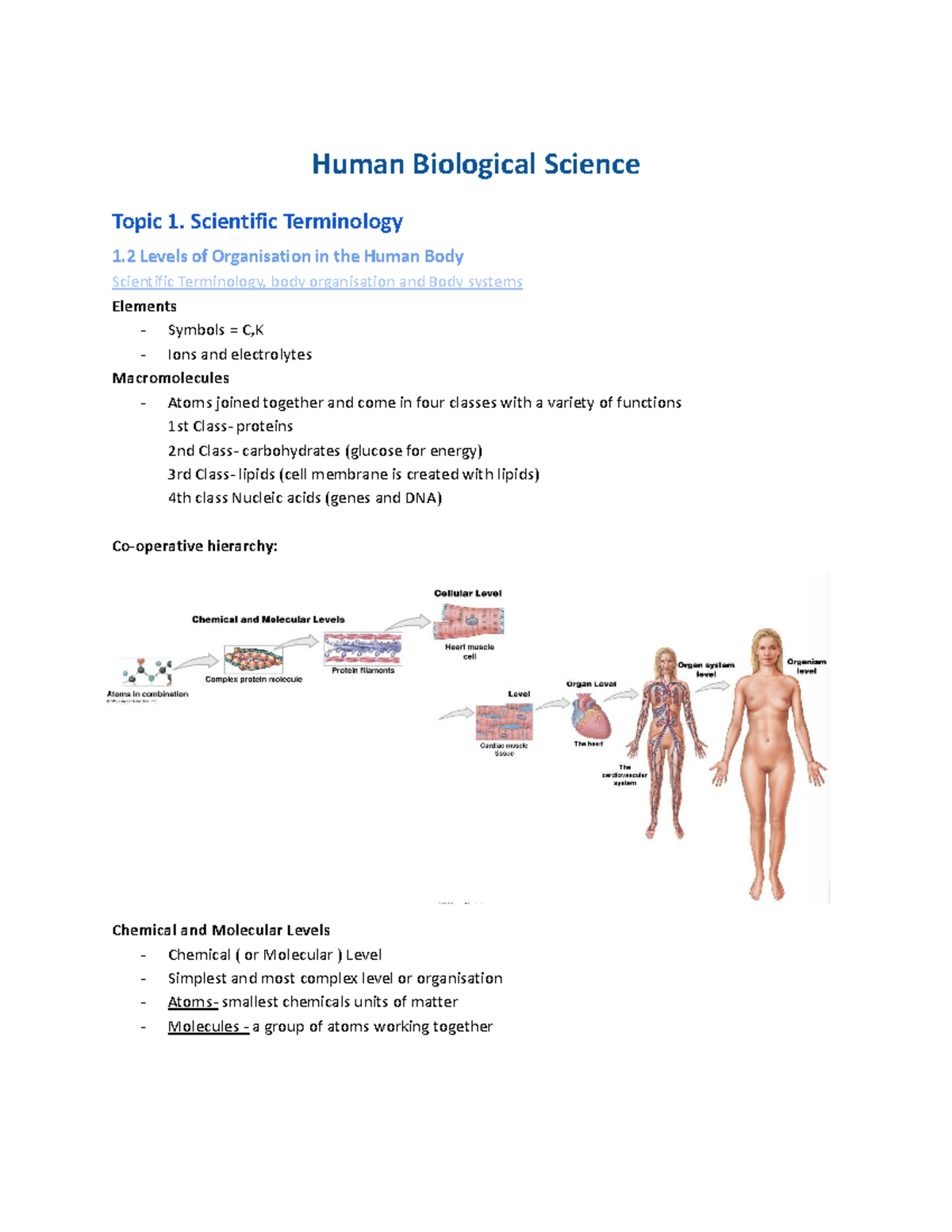 Title: Comprehensive Study Guide for CH101: Intro to Chemistry - Human ...