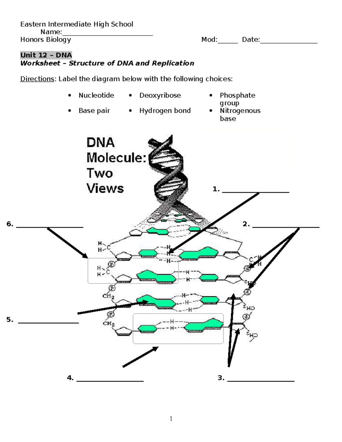 Unit 12 - DNA Worksheet: Structure & Replication in Honors Biology ...