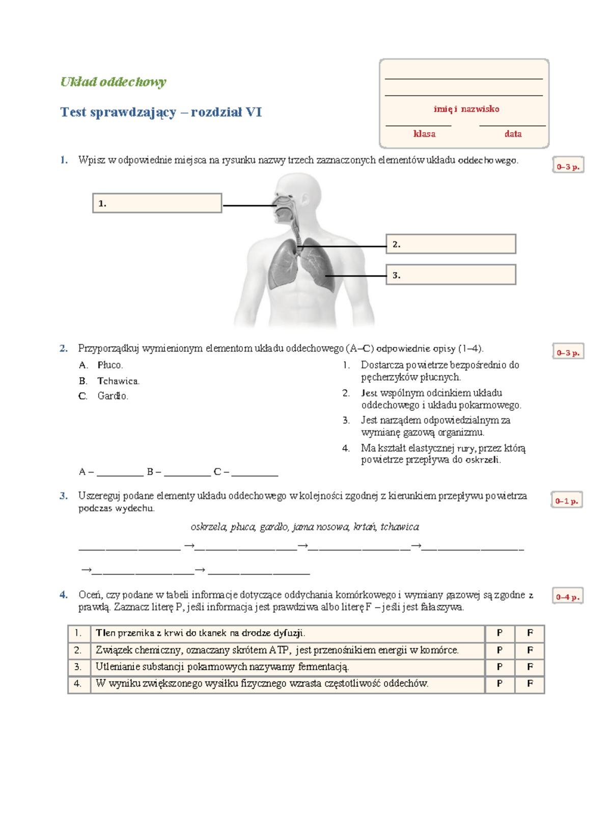 Układ Oddechowy Sprawdzian Gimnazjum Pfd www.studocu.com