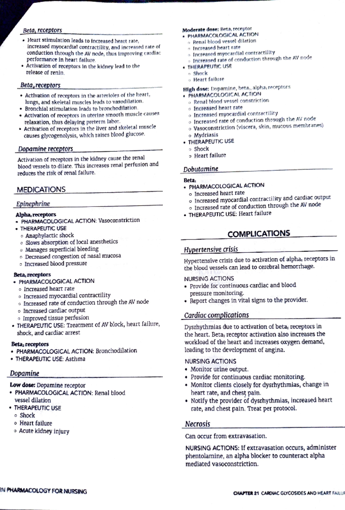 Curated visual reference: 4 Stimulate Beta Reference: Pharmacology Of Beta And Dopamine Receptors In Nursing Care