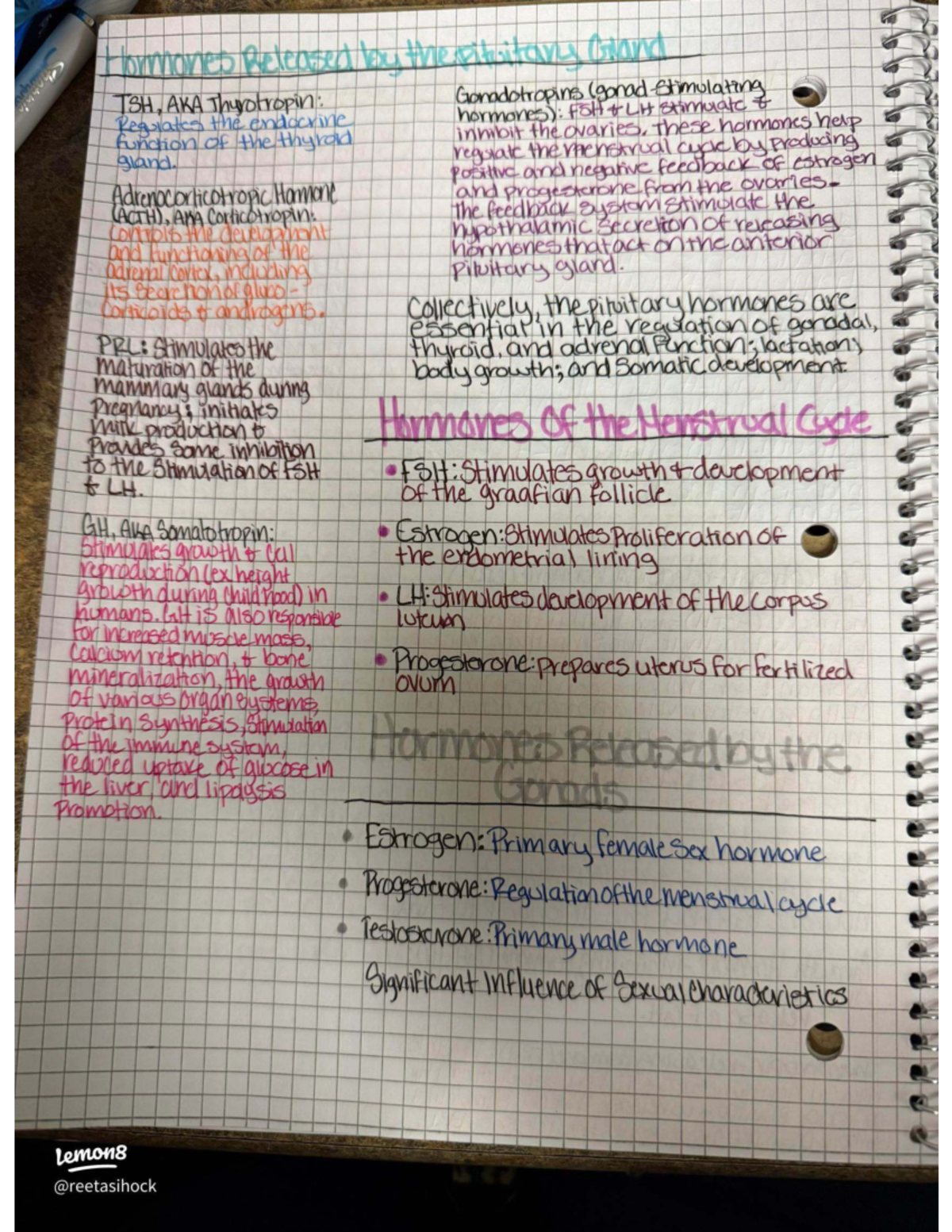 Hormone Study Notes: TSH, FSH, LH, and Their Functions in Endocrinology ...