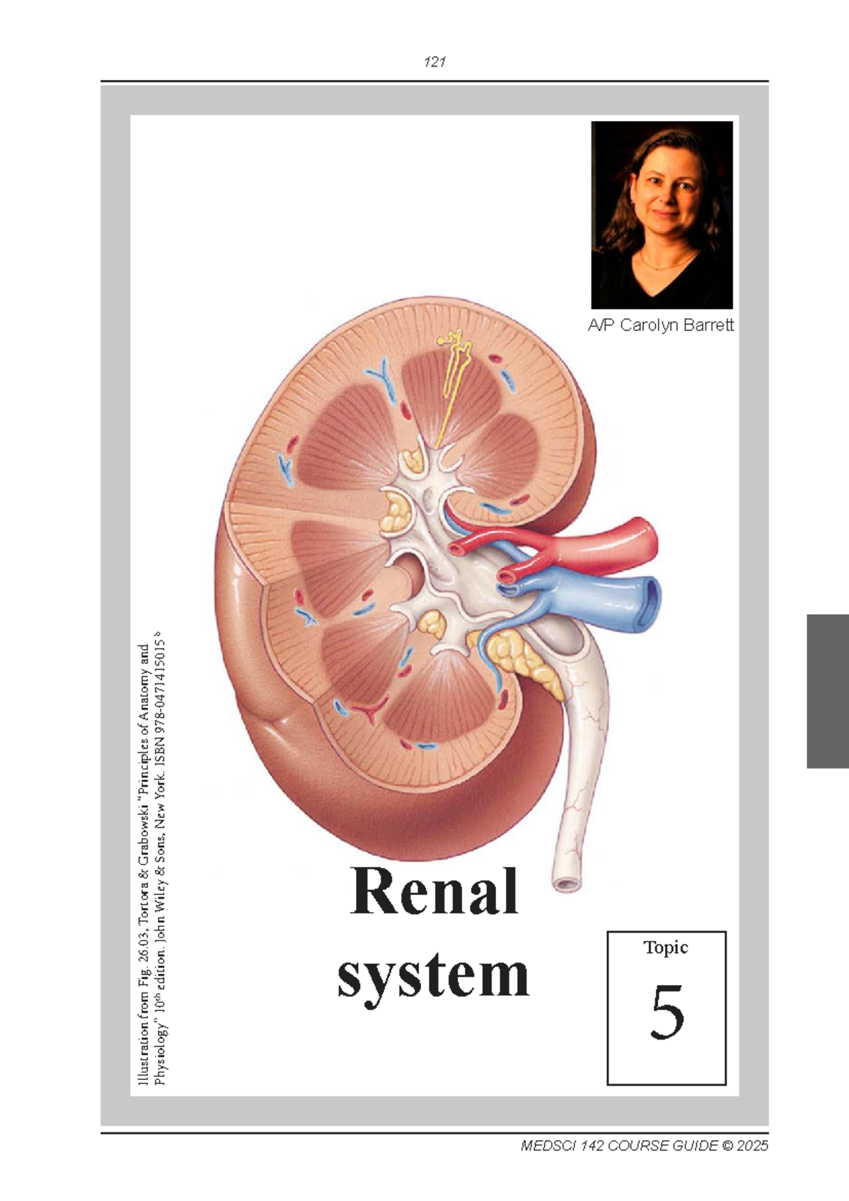 MEDSCI 142 2025: Topic 5 - Renal System Overview and Functions - Studocu