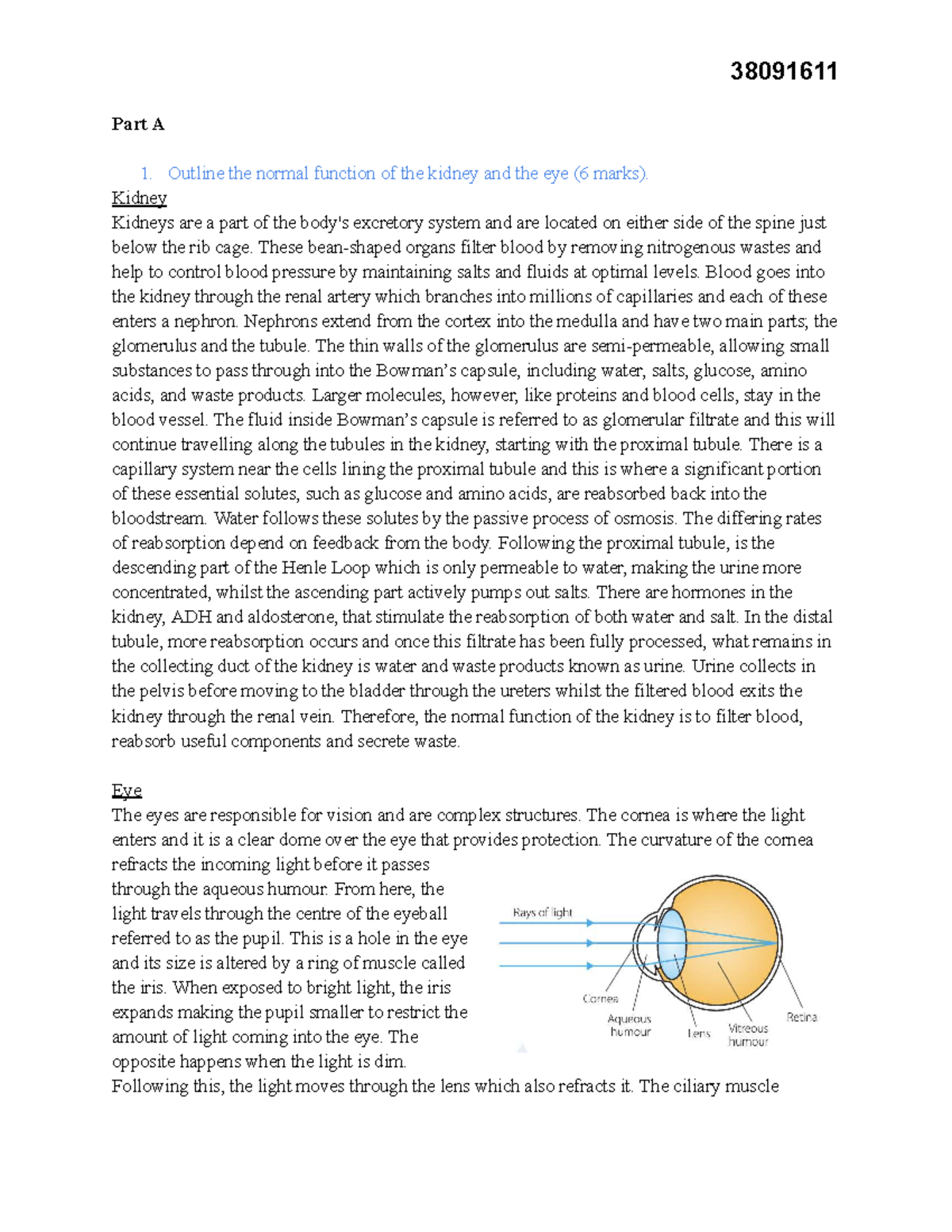 HSC Biology Task 1: Kidney & Eye Functions and Disorders (38091611 ...