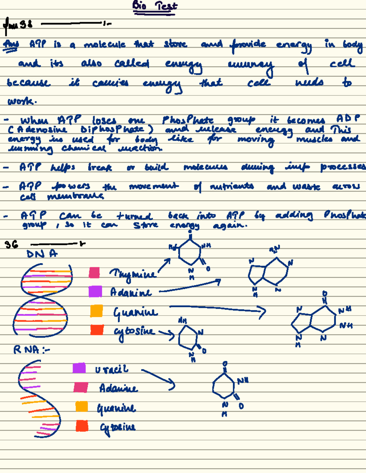 Biology Midterm Notes for Course Code BIO101 - Energy and Proteins ...