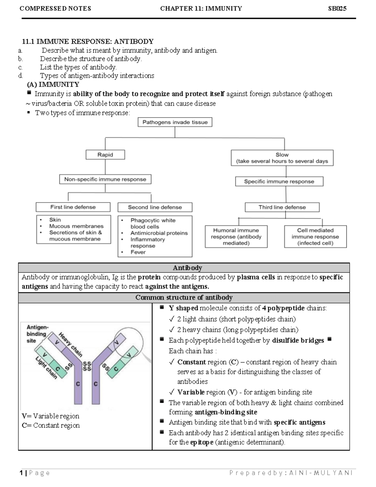 Chapter 11 Compressed Notes: Overview of Immunity and Antibodies - Studocu