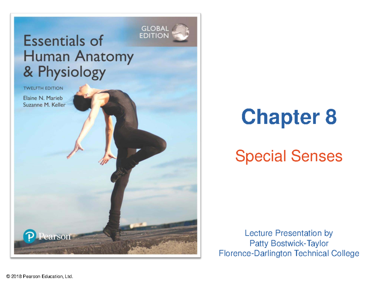 Chapter 8: Special Senses Lecture Notes (PTC 2018) - Studocu