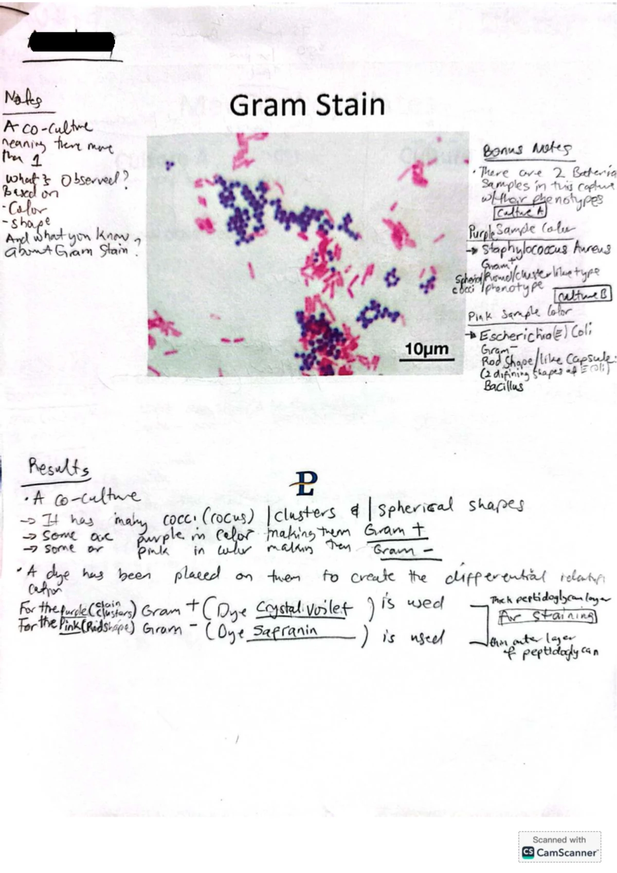 L5: Lab Exam on Antibiotic Sensitivity - Micro Biology 171 - Studocu
