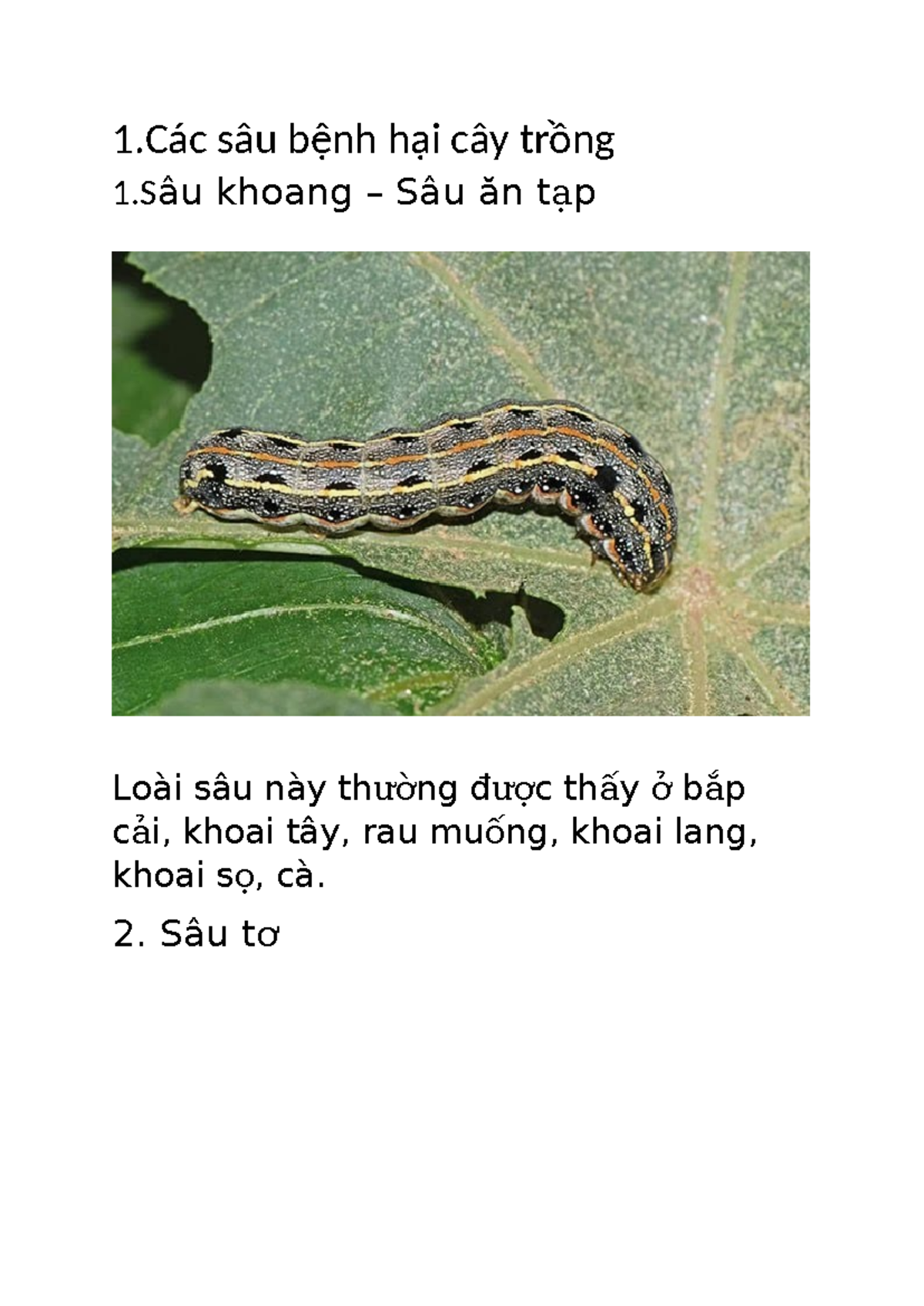 Các Loài Sâu Bệnh Hại Cây và Thiên Địch (Nông Nghiệp) - Studocu