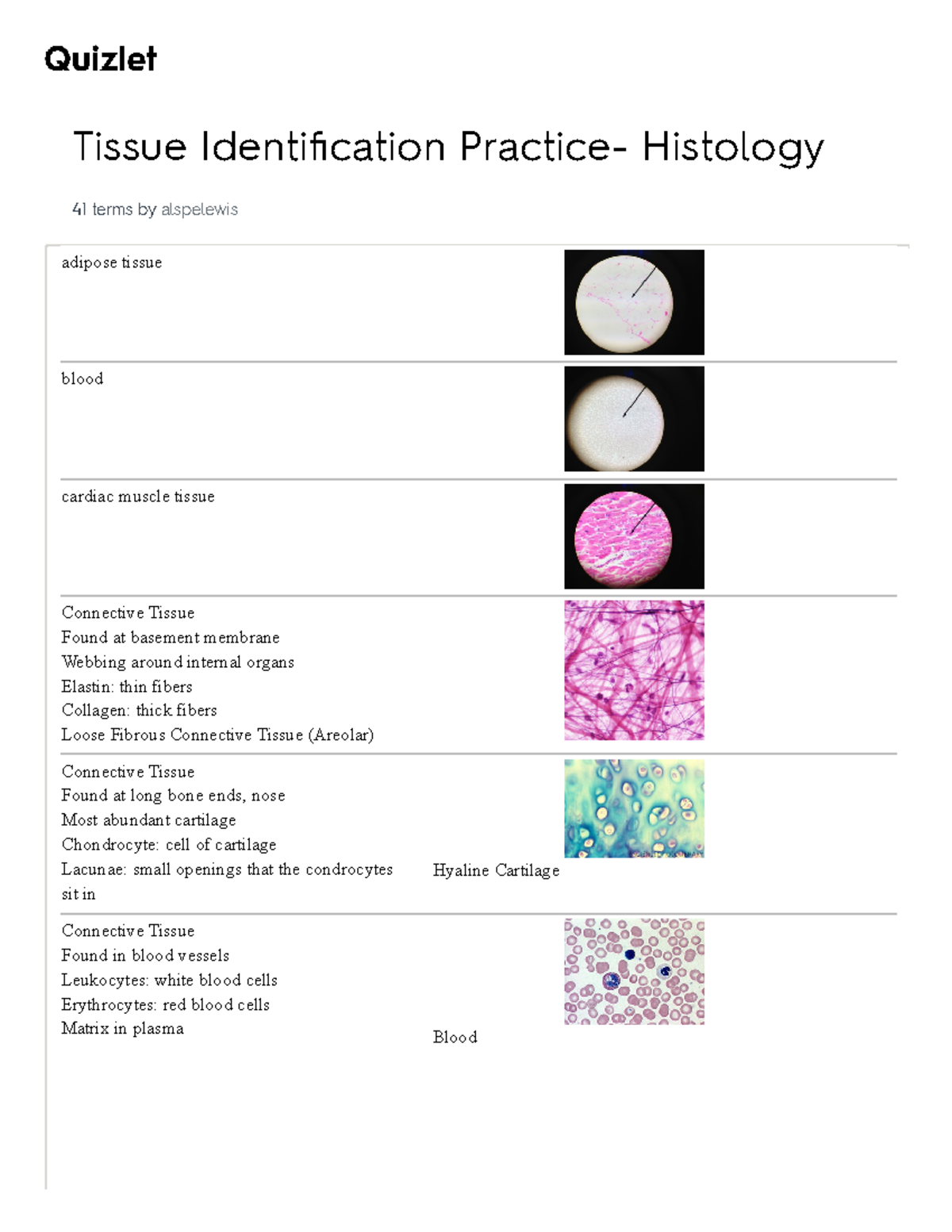 Histology Flashcards: Tissue Identification & Key Terms - Studocu