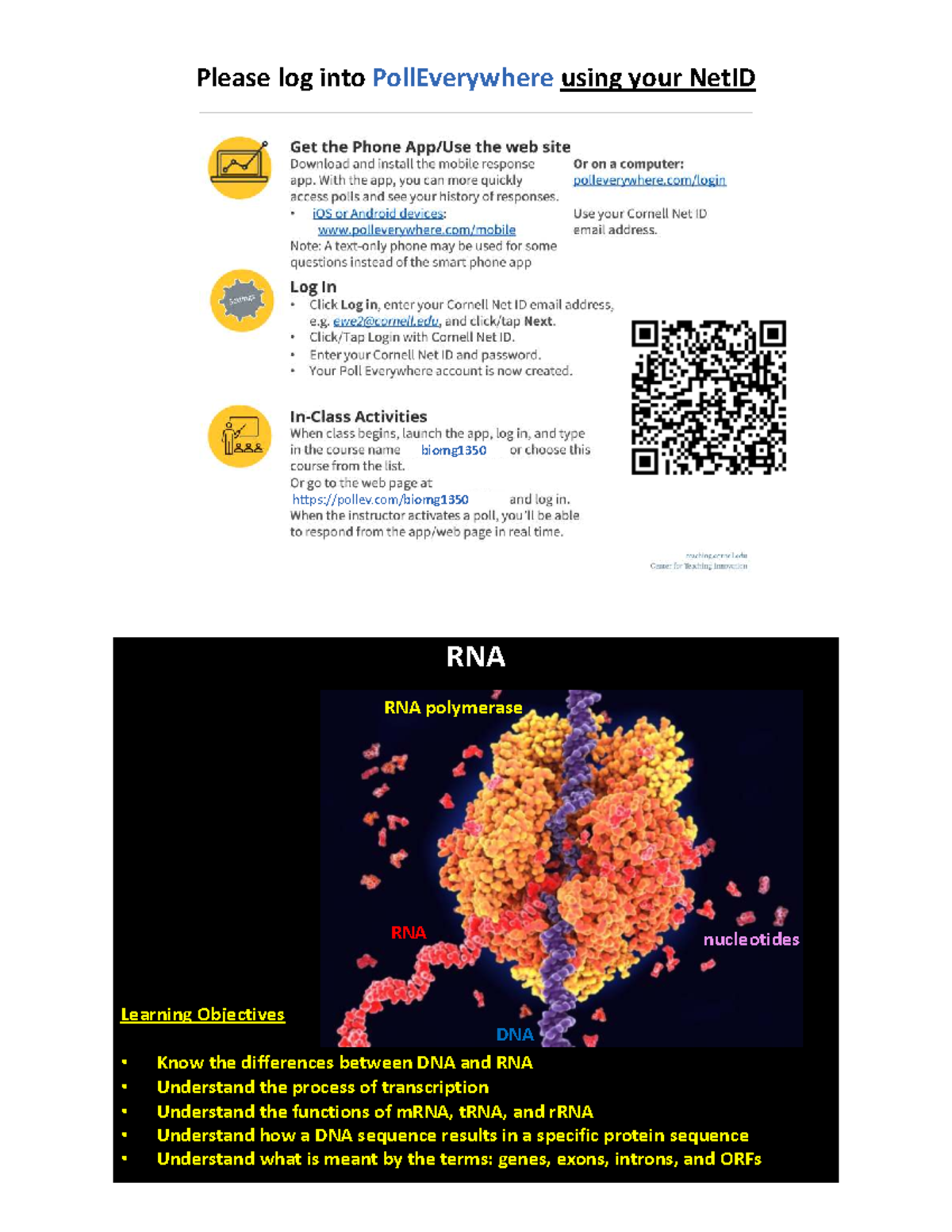 BIOMG1350 Lecture: RNA Structure and Transcription - Studocu