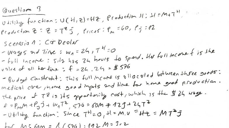 S3-1 Health Assignment: Utility Function & Budget Constraints Analysis ...