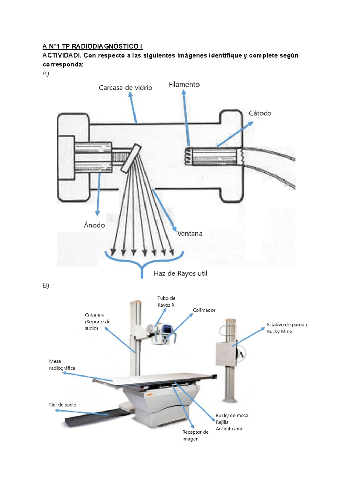 Guías Radiodiagnóstico 1 y 2 Anatomía Radiologica para TM Imagenología y Física Médica - Document Preview