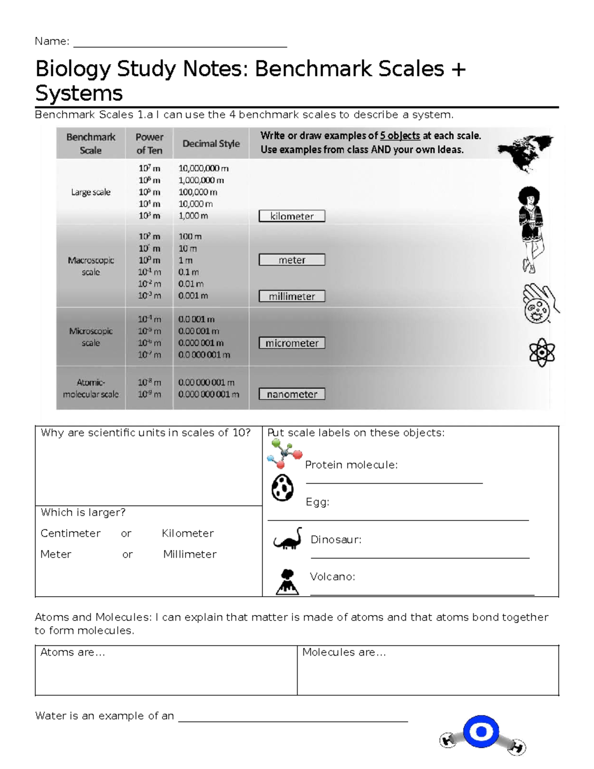 Biology Study Notes: Benchmark Scales & Systems Analysis (BIO 101 ...