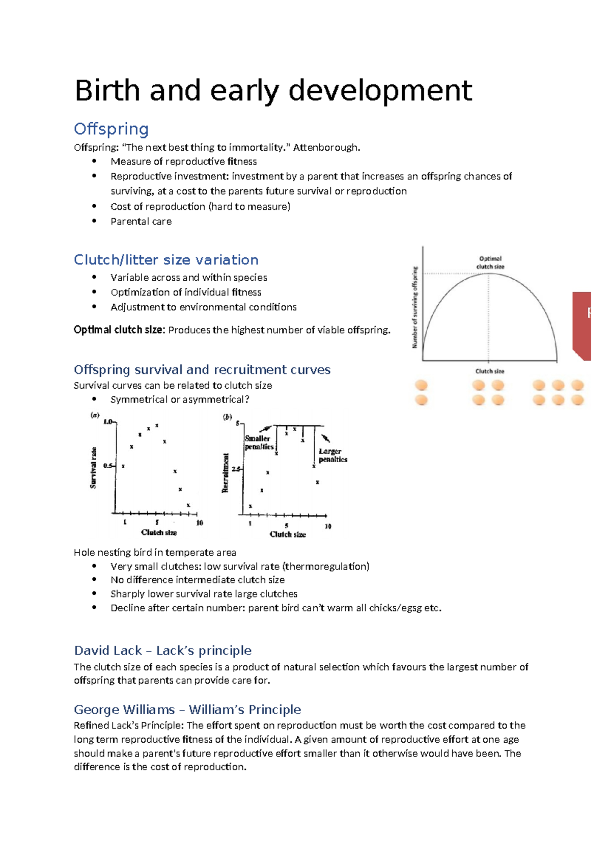 Biology 101: Birth and Early Development of Offspring in Nature ...
