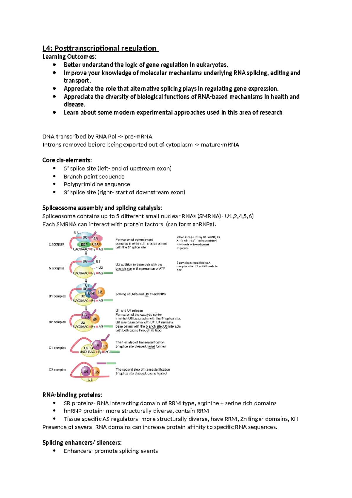 L4: Posttranscriptional Regulation in Gene Expression and Splicing ...