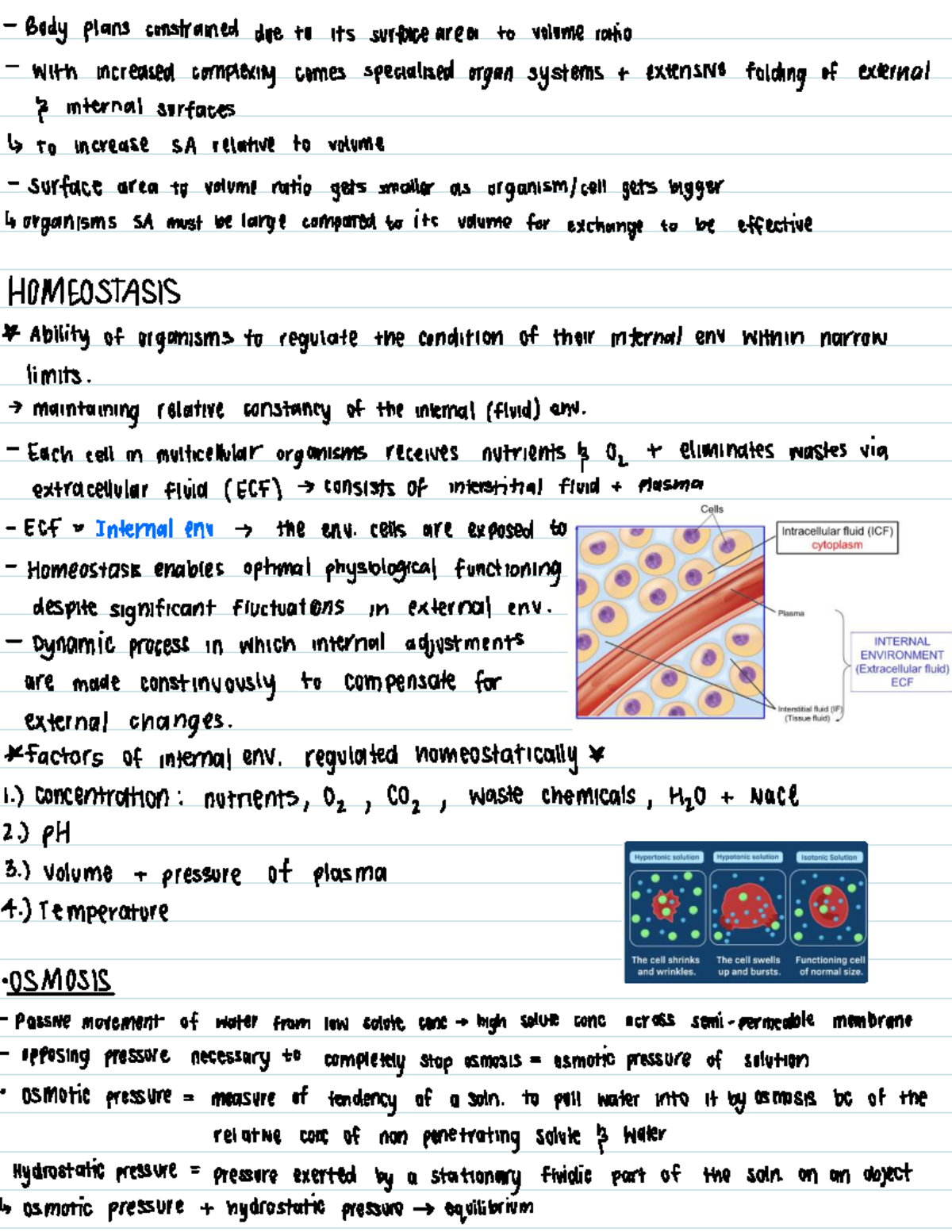 Homeostasis Notes - Summary for HLS 101: Understanding Internal ...