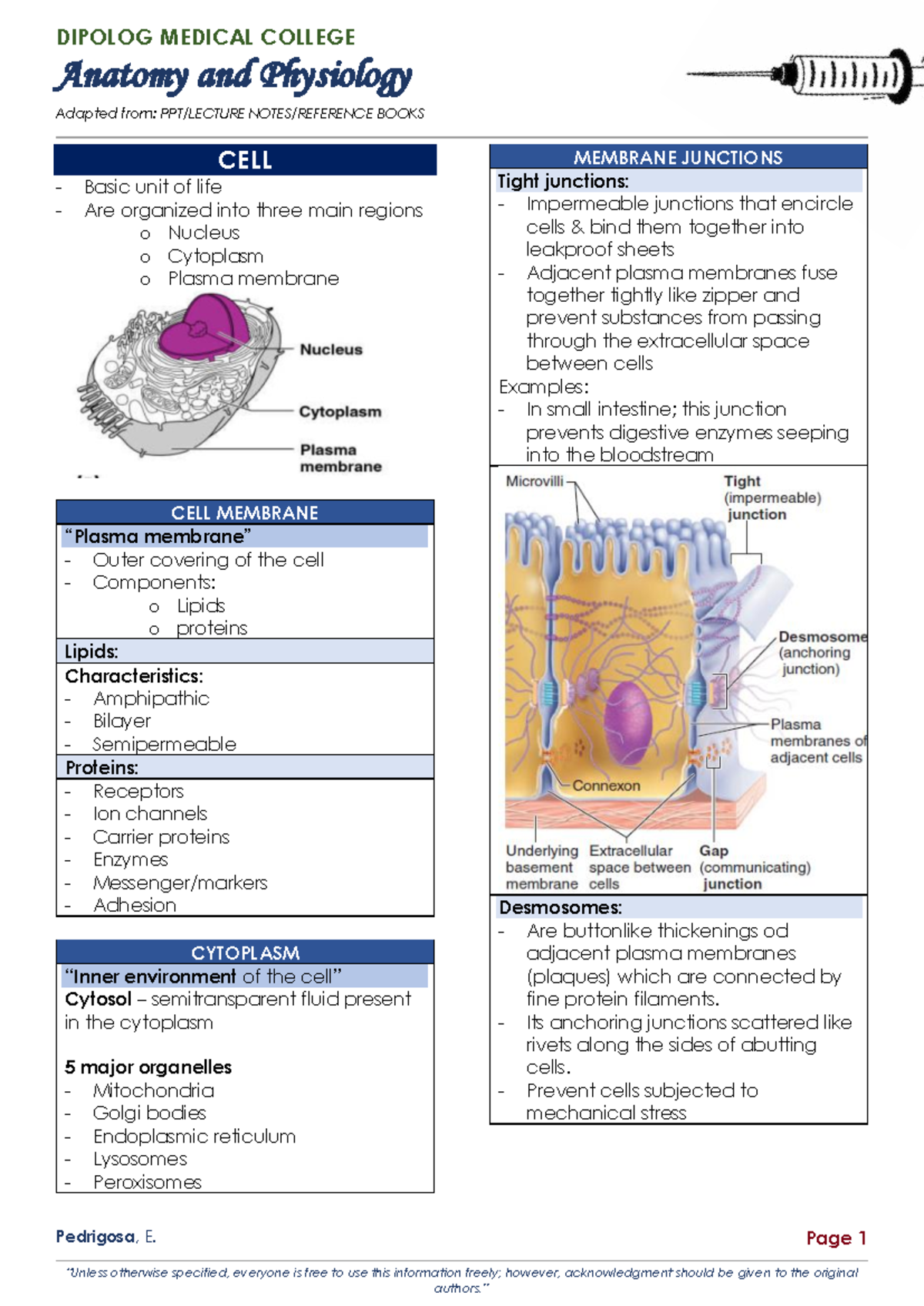 DIPOLOG MEDICAL COLLEGE Anatomy and Physiology Lecture Notes - Studocu
