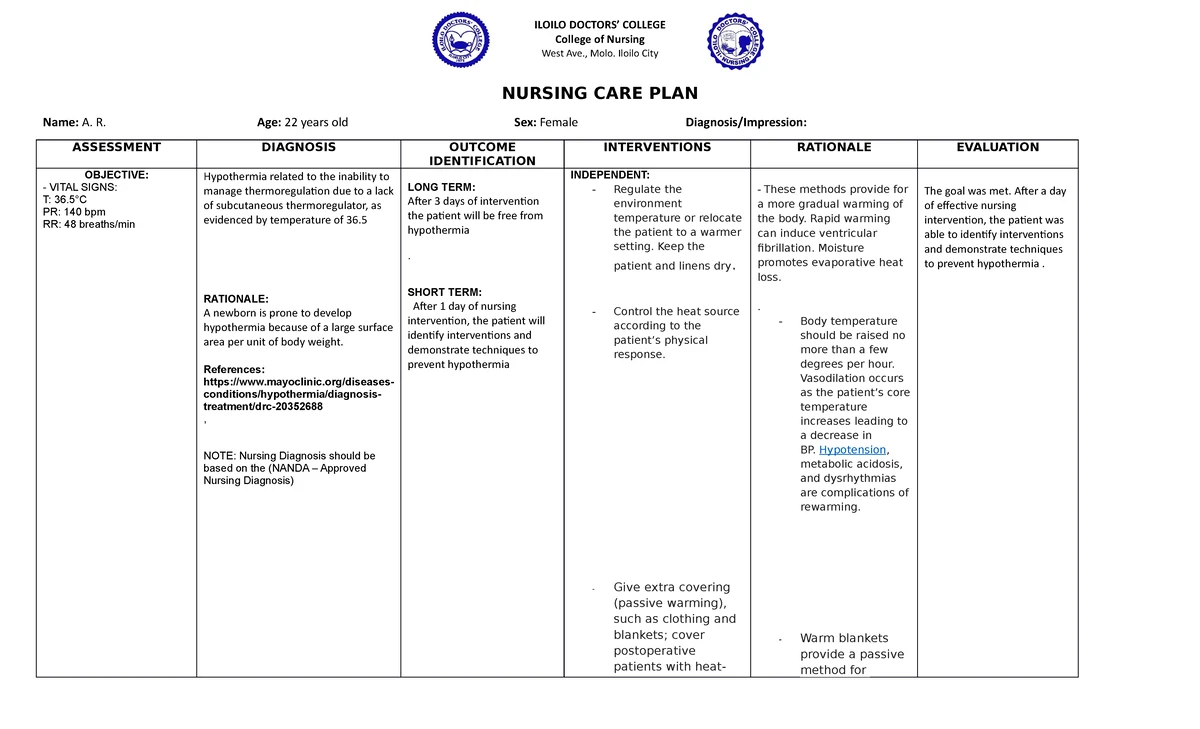 Family CARE PLAN Blank Format - Theoretical Foundations of Nursing ...
