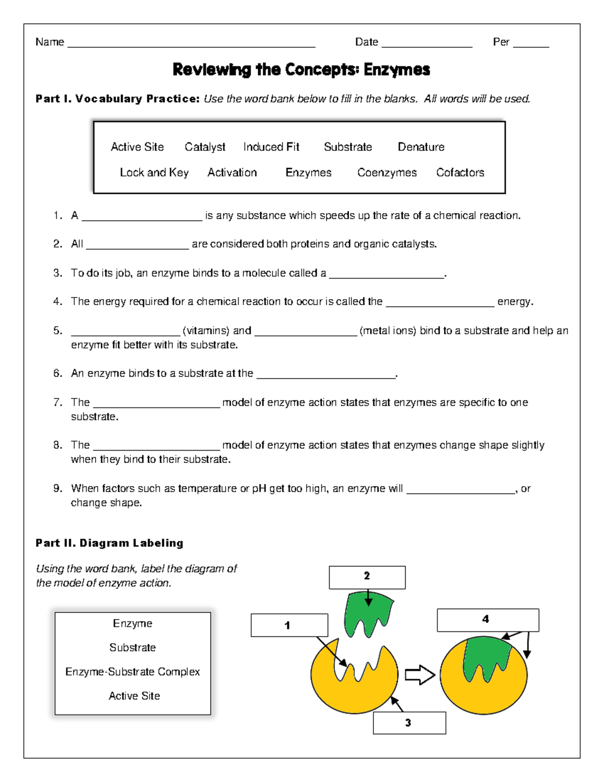 Enzyme Worksheet: Review Concepts & Vocabulary for Biology Class - Studocu