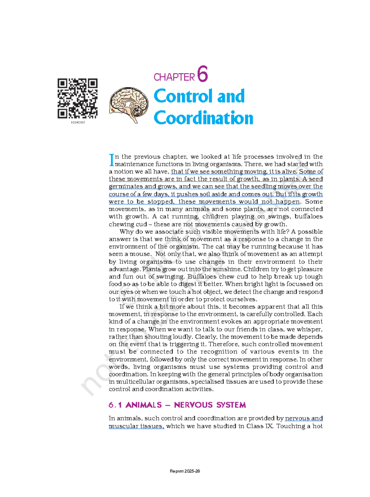 Control and Coordination: Chapter 6 Overview - Studocu