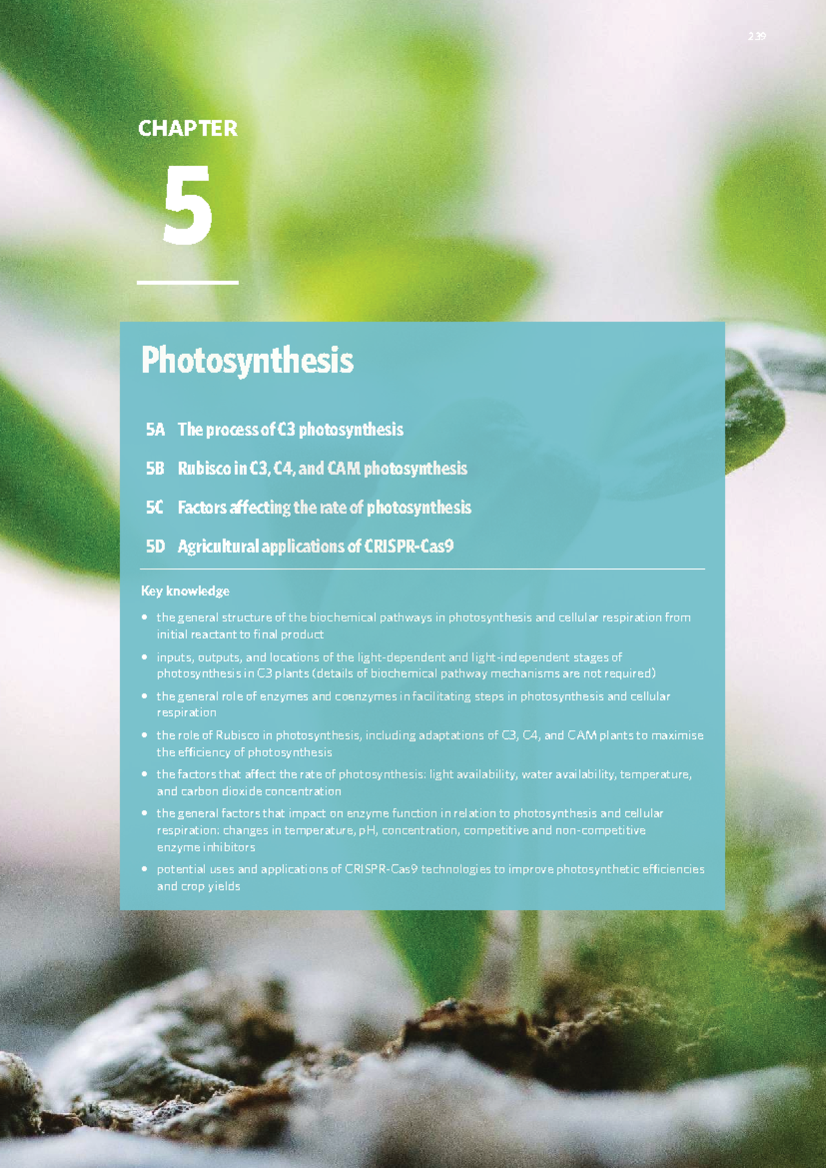 239 VCE Biology Chapter 5: Photosynthesis Overview and Key Concepts ...