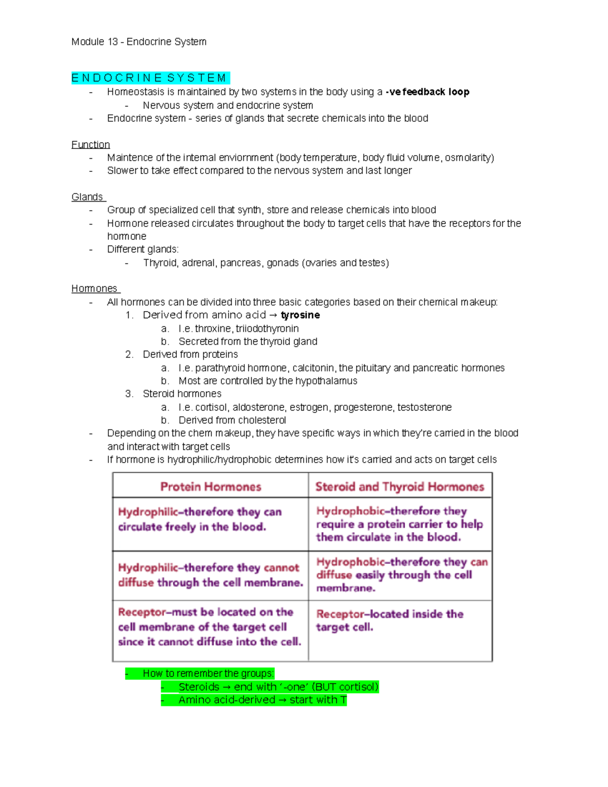 Physiol 2130 - Module 13: Endocrine System Overview & Functions - Studocu