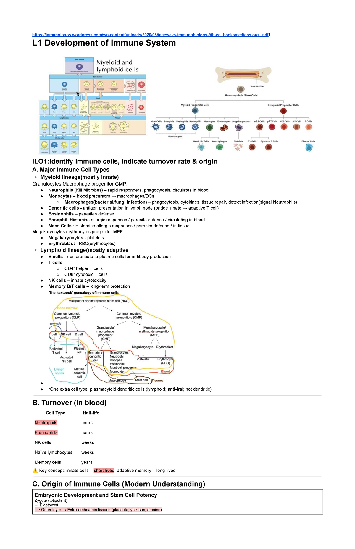 Development of Immune System - Lecture Notes - Studocu
