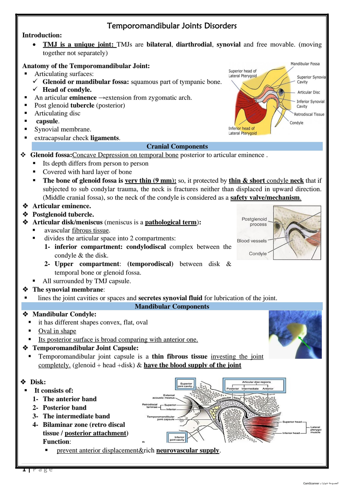 Temporomandibular Joint Disorders: Oral Surgery Insights & Treatments ...