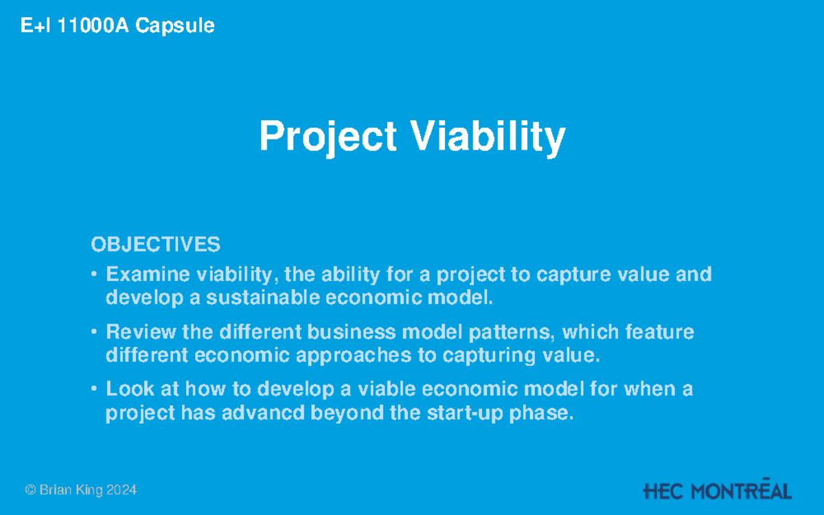 E+I 11000A Capsule Project Viability: Economic Model Insights - Studocu