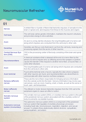 Nervous System Structure and Function: An Overview for ANATOMY 101 - 1 ...