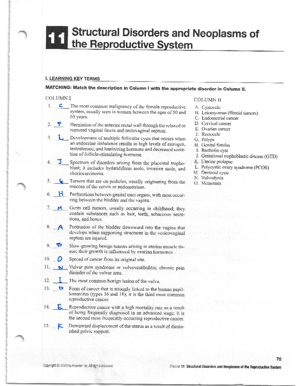 Worksheet Chapter 19: Comprehensive Review and Exercises - Studocu
