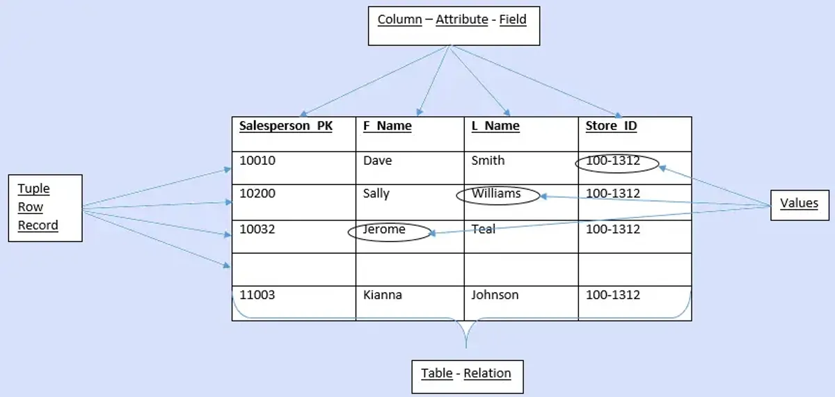 C175 Data Management Foundations: Lesson 1 Study Guide on Databases ...