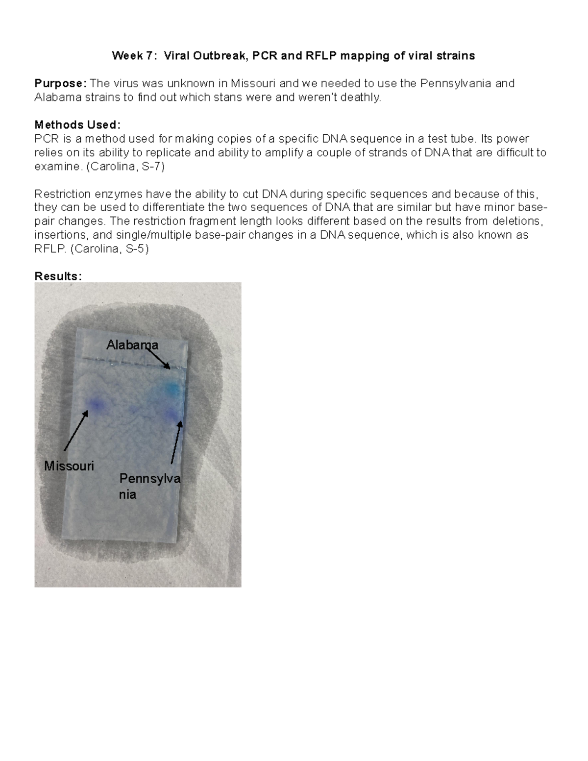 Nottle - Week 7 Lab Report on Viral Outbreak & DNA Mapping (BIO 1015 ...