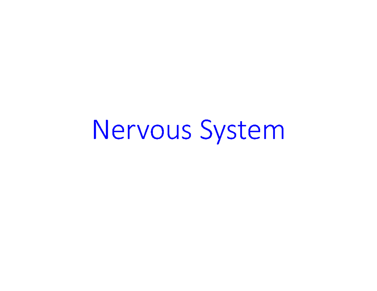 Neuroscience Exam Overview: Action Potentials and Nervous System ...