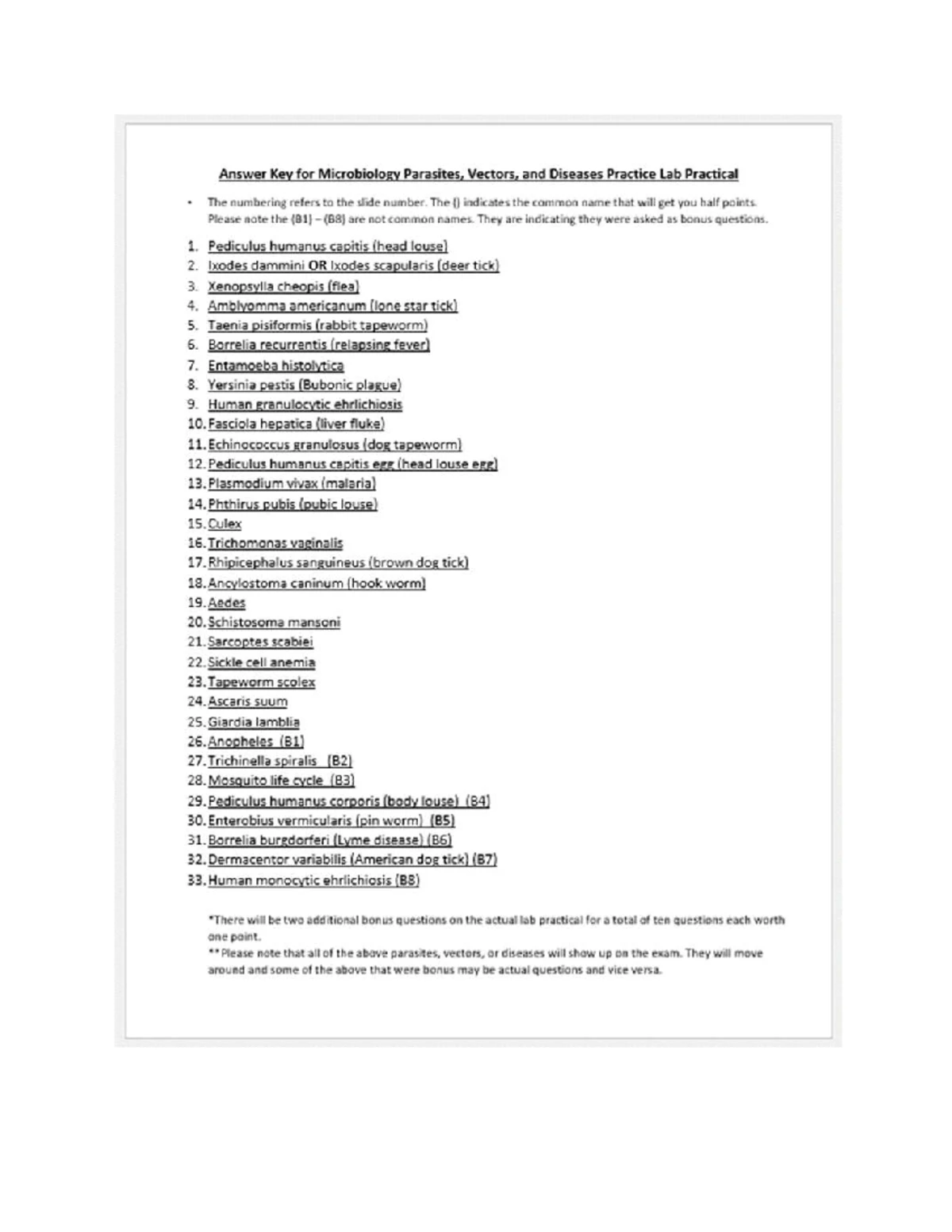 Finished Dichotomous KEY 2023 (3) - MORPHOLOGY •COCCUS • Enterococcus ...